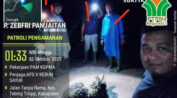 Dirut PTPN IV ( Palmco ) diminta evaluasi kinerja manager dan APK kebun gunung Pamela .; Bongkar sindikat karyawan dipecat