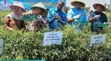 Bupati Genjot Program Unggulan Ketahanan Pangan, Deli Serdang Raih Prestasi Inflasi Terendah Per Januari 2026