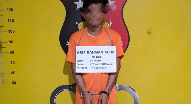 foto slider headline