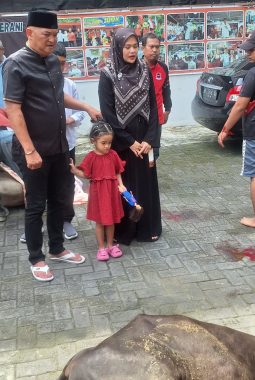 Laksanakan Kurban, Robi Barus S.E M.A.P Sembelih 2 Ekor Lembu