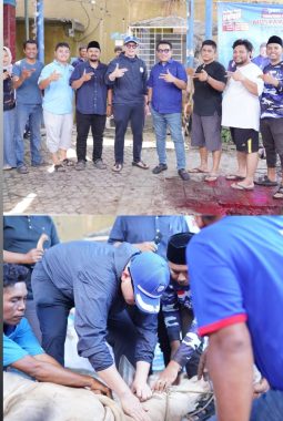 Idul Adha 1447 H, PAN Dan BM PAN Kota Medan Gotong Royong Tebar Qurban Untuk Masyarakat