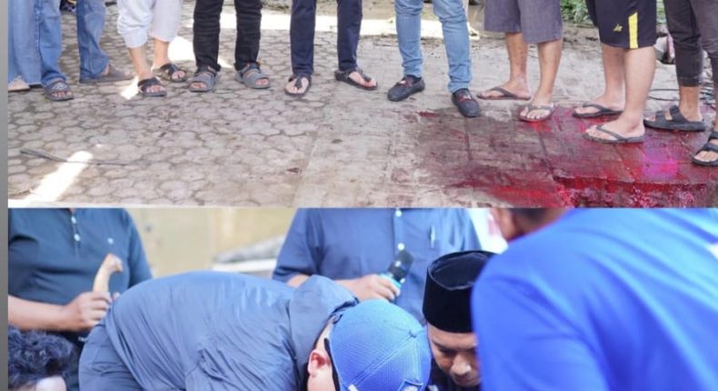 foto slider headline