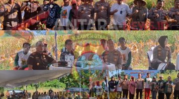 Kapolres Bitung Dampingi Forkopimda Ikuti Panen Raya Jagung Serentak dan Launching Program Ketahanan Pangan Polri