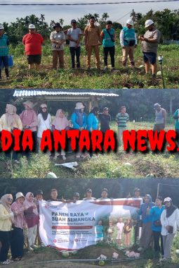 PT. Smart Tbk Mengubah Limbah Kotoran Sapi Menjadi Pupuk Berkualitas, Demplot Semangka Buktikan Potensi Vermenkompos Tingkatkan Produktivitas Petani