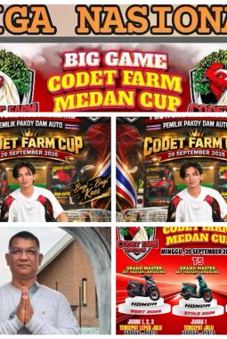 Codet dan Aan Gelar Perjudian Laga Ayam di Kota Binjai, Polisi Diduga Tutup Mata
